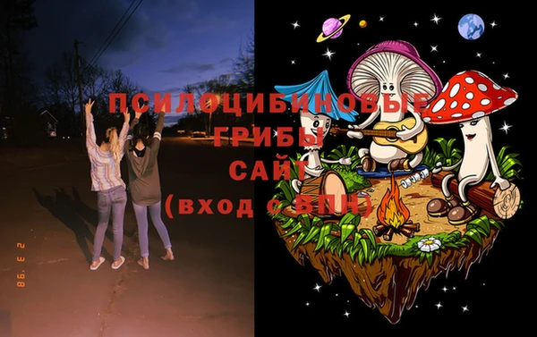 стафф Михайловск