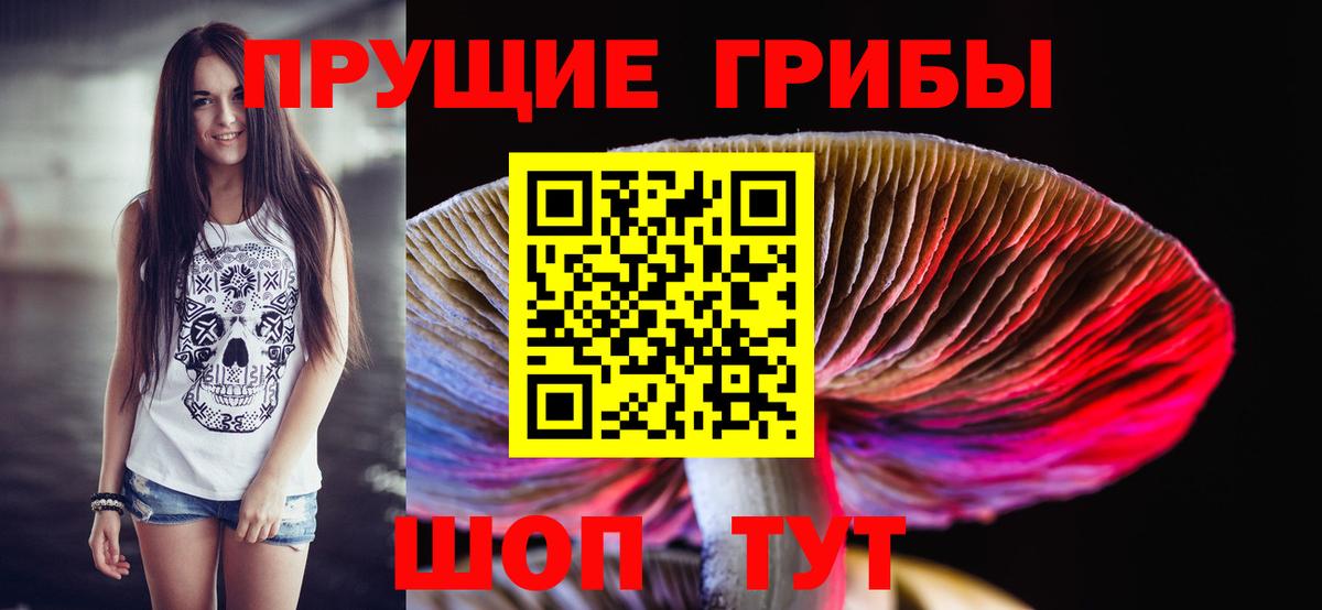 Галлюциногенные грибы Magic Shrooms Новомосковск