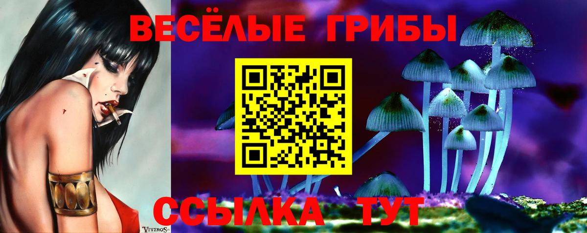 Галлюциногенные грибы мицелий  даркнет сайт  Новомосковск  Псилоцибиновые грибы мухоморы  Вход с VPN 